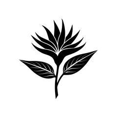 the iconic silhouette of a bird of paradise flower