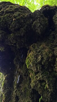 Beautiful slow motion video of the Sipote Waterfall (Cascadele de travertin) on a beautiful sunny summer day. Rain like water droplets falling from the travertine rocks giving a zen vibe. Alba,Romania