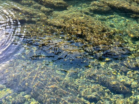 Sea crystal clear water with stones and pebbles at the bottom.