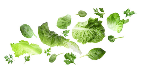 Fresh salad leaves flying against white background. Lettuce, spinach and parsley