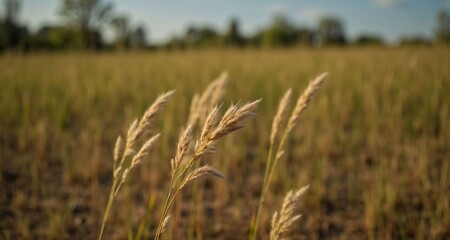 Abstract modern background design 8