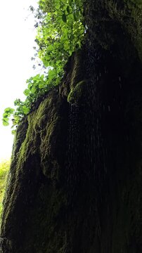 Beautiful slow motion video of the Sipote Waterfall (Cascadele de travertin) on a beautiful sunny summer day. Rain like water droplets falling from the travertine rocks giving a zen vibe. Alba,Romania