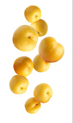 Fresh ripe cherry plums falling on white background