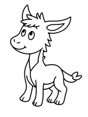 donkey