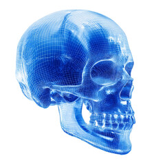 Futuristic Blue 3D Skull with Semi-Transparent Wireframe Overlay on Transparent Background