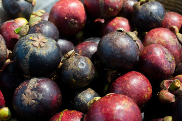 mangosteen fruit on the market