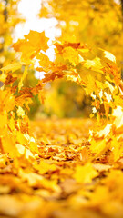 Golden autumn leaves swirl in circular pattern, creating warm, glowing seasonal backdrop with vibrant yellow tones