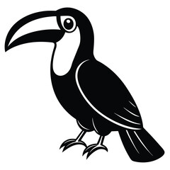 Obraz premium toucan vector
