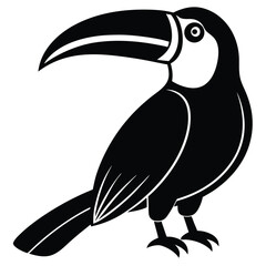 Obraz premium toucan vector