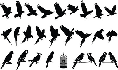 "Variety of Silhouette Birds in Flight and Perched, Parrots, Cockatoos, Parakeets, Birdcage, Black Background, Animal Illustrations for Design