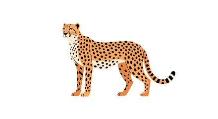Illustration of a cheetah with black spots standing on a white background looking to the left side on transparent background