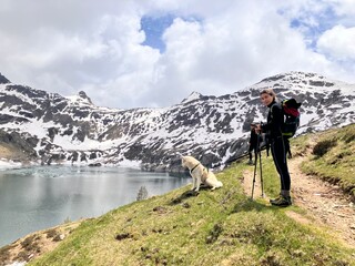 Siberian husky in montagna in inverno 