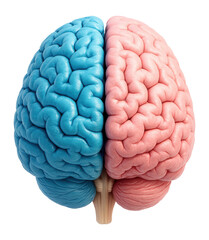 Plakat Split brain with blue and pink hemispheres.