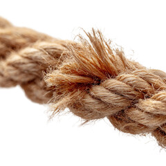 Fototapeta premium Close-up of frayed natural fiber rope end with detailed individual strands on transparent background