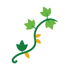 Obraz premium Vector illustration of vine vector icon isolated on white background.