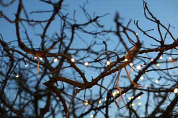 String of lights on a dry tree in the early evening, Mallorca island.