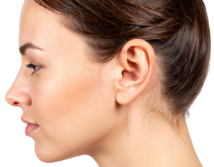 High-quality human ear anatomy isolated PNG