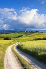 Obraz premium italy tuscany countryside; farm land and country road to the villa ; rolling hills