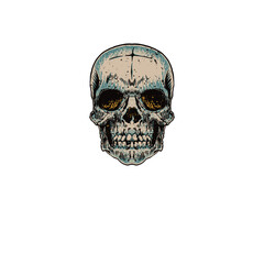 Skull Vintage