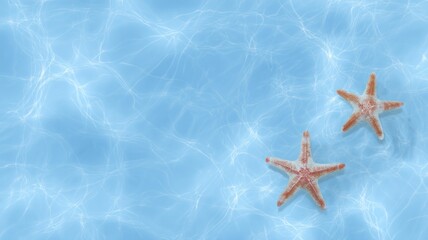 Starfish duo in clear ocean water. AI generated