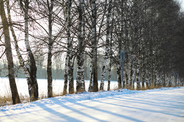 Winter snowy frosty landscape. The forest is covered with snow. Frost and fog in the park.