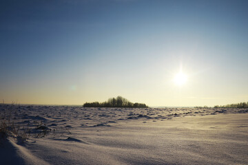 Winter snowy frosty landscape. The forest is covered with snow. Frost and fog in the park.