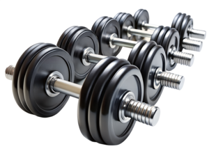 gym dumbbells arranged neatly in row