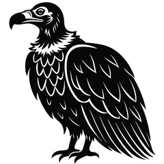 vulture vector