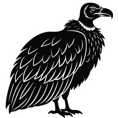 vulture vector