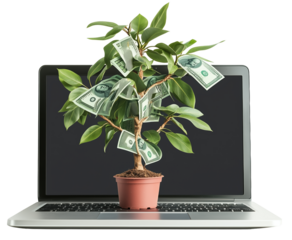 Laptop with money tree growing from screen, symbolizing financial growth and digital investment opportunities. tree is adorned with dollar bills, representing prosperity., isolated