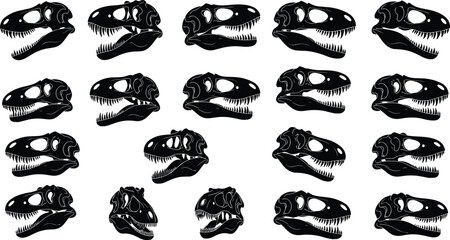 Silhouettes of dinosaur skulls, black isolated theropod heads, T-Rex fossil illustration, prehistoric bones, paleontology reference, extinct species anatomy, science