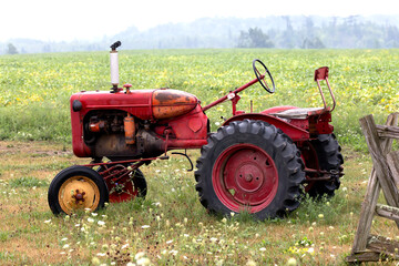 antique farm tractor once the work horse of the farm