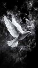 Abstract White Dove Smoke Form Flight Black Background Spiritual Serenity
