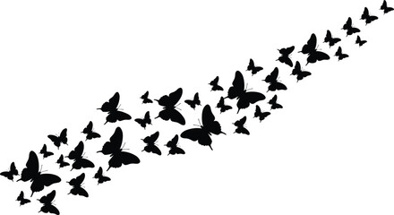 Butterfly silhouettes flying, nature, butterflies in motion, beautiful butterfly swarm, insect flight, winged creatures, butterfly pattern, nature