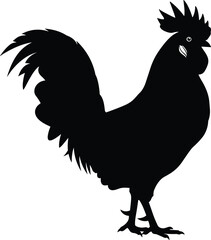 Silhouette of rooster, poultry, farm animal, bird, nature, cock, rooster standing, farm life, wildlife, animal  of rooster, poultry, farm animal, bird, nature, cock, rooster standi