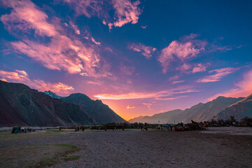 A breathtaking sunset across a dramatic mountain valley. The serene landscape is enriched by colorful sky. distant camel herds and towering peaks evoking a sense of peace and connection with nature.
