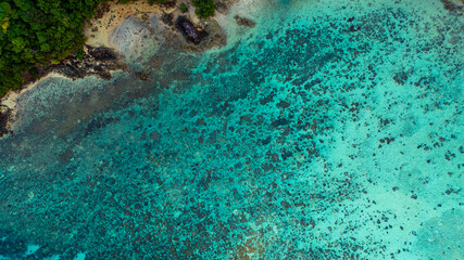 A stunning aerial view of a tropical coastline featuring lush green forest, a vibrant turquoise coral reef, and deep blue ocean waters. the natural beauty of marine and coastal ecosystems.