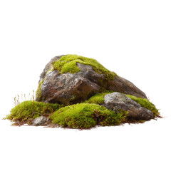 A natural rock covered in vibrant green moss, showcasing the beauty of wildlife and geological formations, ideal for nature-themed designs.