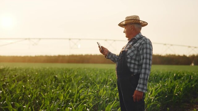 Elderly farmer with modern smartphone standing alone in beautiful farmland. Professional farm worker using mobile gadget in agricultural field, internet addiction and modern technologies, agribusiness