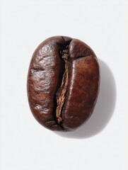 Closeup of a Roasted Coffee Bean Isolated on White Background