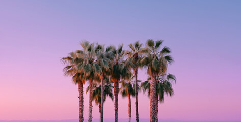 Palm Tree Silhouettes Against Vibrant Pastel Sunset Sky