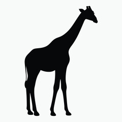 Giraffe Silhouette Black Vector Minimalist Animal Outline Design