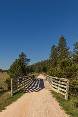 Bridge on the George S. Mickelson trail, South Dakota