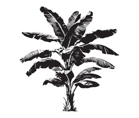 Black cut file of a banana tree silhouette.