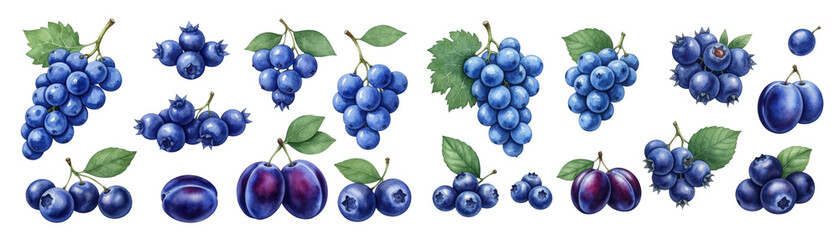 Fototapeta premium A vibrant assortment of blueberries and plums, showcasing their rich colors and textures.