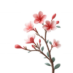 Fototapeta premium Delicate pink flowers bloom on a slender branch against a white isolated background, showcasing their soft petals and green leaves, ideal for floral designs and nature themes.