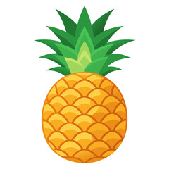 Obraz premium pineapple on white background