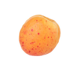One fresh ripe apricot isolated on white