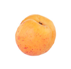 One fresh ripe apricot isolated on white