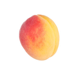 One fresh ripe apricot isolated on white